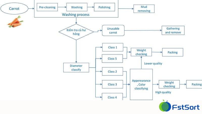 images/1652427809541carrot grader1.jpg